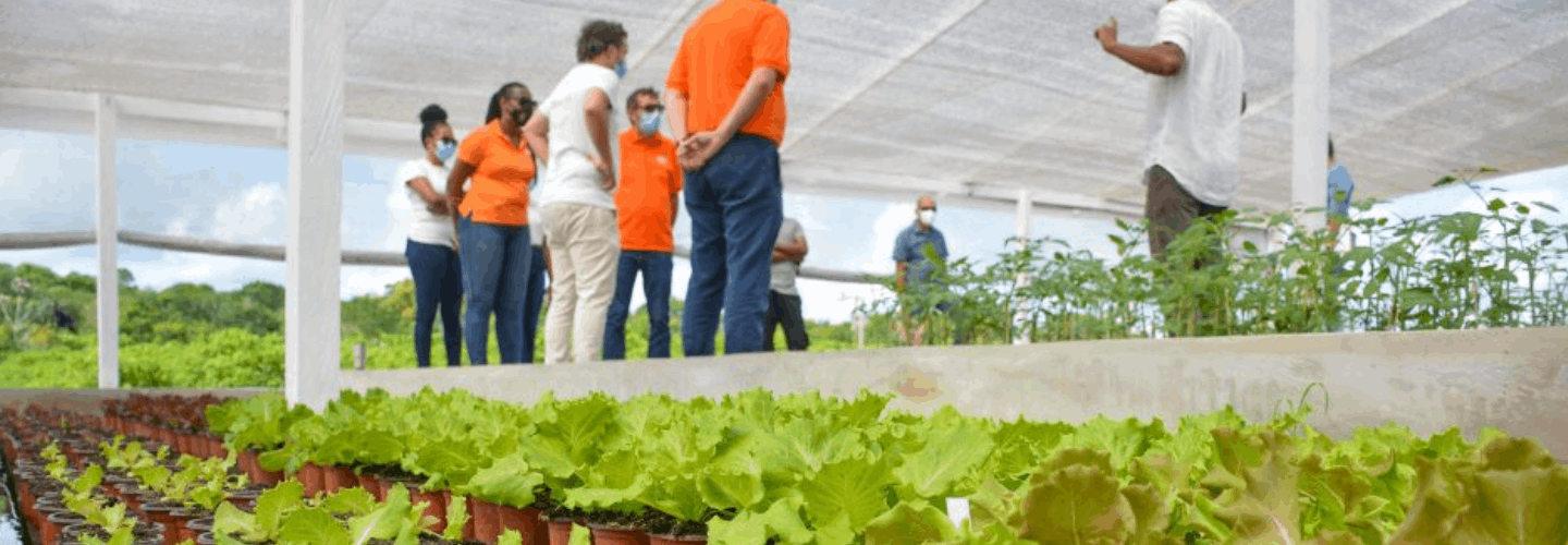 A fruitful partnership for SBM Offshore and Plympton Farms, Guyana SBM Offshore