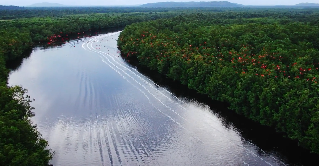 Growing with Guyana, Growing with its people